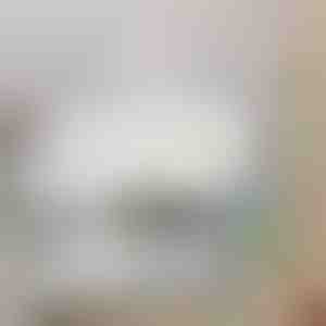 Lubų ventiliatorius su LED apšvietimu | FANGLO