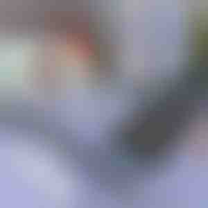 Apsauginis skydelis nuo saulės automobiliui ir langui | SUNGUARD