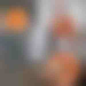 360 laipsnių besisukanti reguliuojama valymo šluostė | CORALMOP