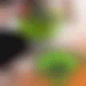 Silikoniniai sieteliai (2 vnt.) | FOLDRAIN