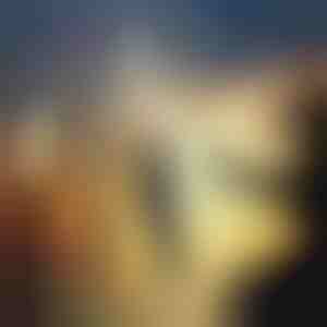 Mini meškerė | HANDYFISH