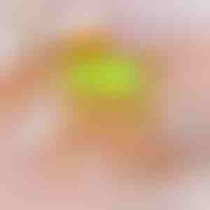 Elektrinis garų valymo šepetys