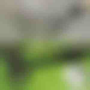 Piktžolių ravėjimo įrankis | RUNCO