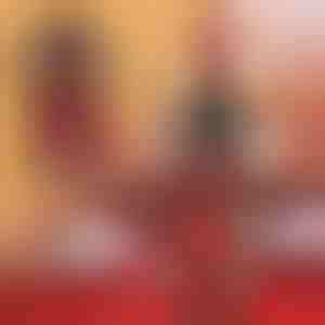 Vyno butelių striukė | VINOPOUCH