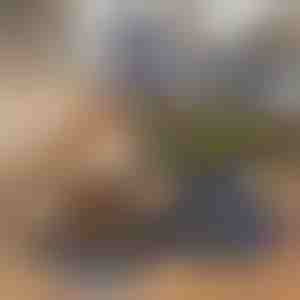 Sulankstomas dubenėlis