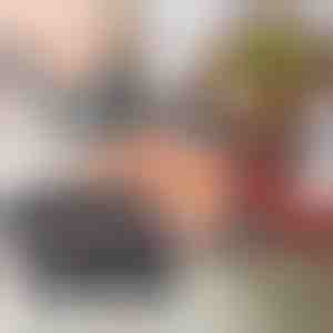 Mėsos nagai | CLAWMASTER