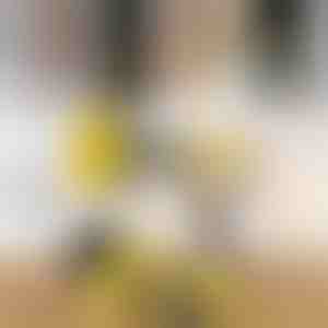 Galingas gręžimo valymo šepetėlių rinkinys (3 vnt.) | DRILLBRUSH