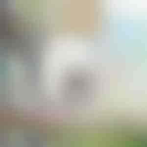 Kabantis hamakas katėms ir mažiems šunims | PURRPAD