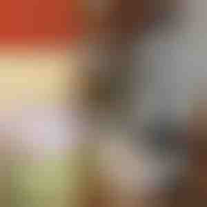 Rankinė daržovių pjaustyklė | CHOPSTER