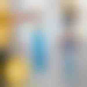 Ilgas dulkių šepetys | DUSTOFF