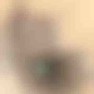 Žaislas katėms | PREYPLAY