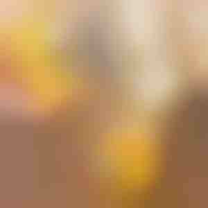 Kiaušinių lukštų atidarytuvas | YOLKIE