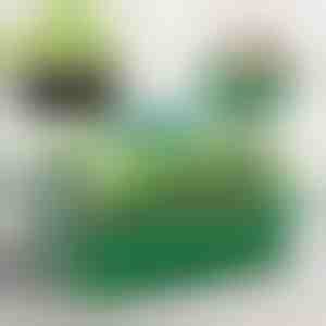 Daigų auginimo padėklas su skyriais | PLANTURKA