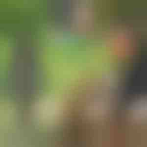 Medienos skaldymo grąžtas | WOODCRACKER