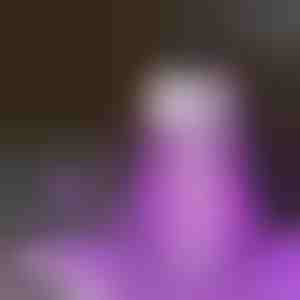 Galinga UV lempa nuo uodų | INSECNI