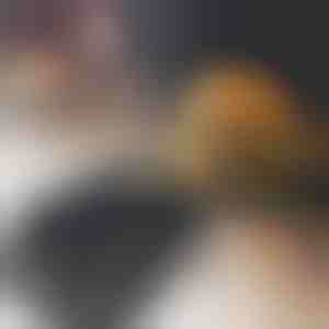 Mėsainių gaminimo įrenginys | BURGIPRESS