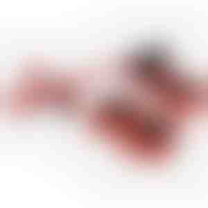 Baldų pervežimo rinkinys su 4 slankikliais ir keltuvu | LIFTROLLERS