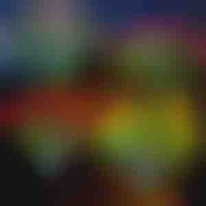 Saulės gėlių žibintai | ROSILUME