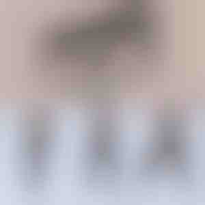 Daugiafunkcinė pilateso lazda | TONEBAR