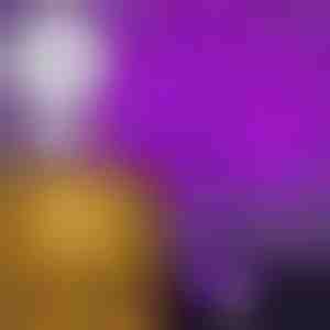 Žybsintis šviesos medis | BLISSTREE