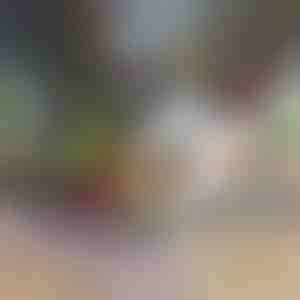 12 viename daržovių pjaustyklė ir smulkintuvas (7 ašmenys įtraukti) | CHOPMASTER