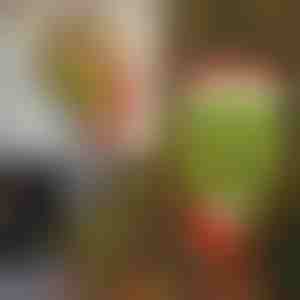 Kalėdų dekoracijos | ELFLEGS