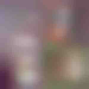 5 sluoksnių sulankstomos saugojimo lentynos | FOLDWAY