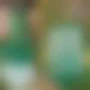 Daugkartinio naudojimo pakabinama musių gaudyklė sodui, terasai ir balkonui | INSECTA