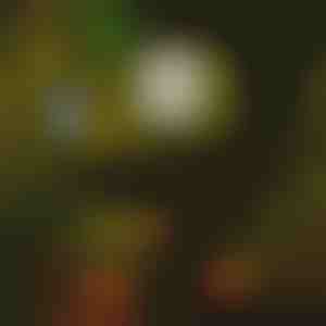 Saulės žibintai takams(6 vnt.) | LUMITRAD