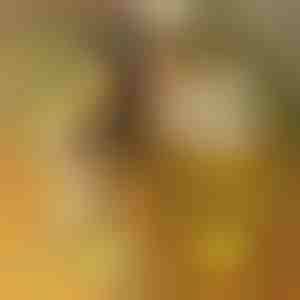 Akrilinė LED lenta su 7 žymekliais | LUMOBOARD