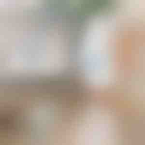 Elektrinis besisukantis valymo šepetys | ROTOBRUSH