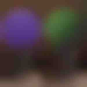 Dekoratyvinis augalų rutulys | TOPIORB