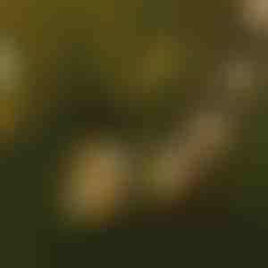 LED lempučių girlianda | YARDBULBS