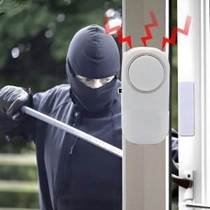 Daugiafunkcinis išmanusis durų signalizatorius | ALARION