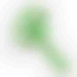 4 viename rankinis elektrinis smulkintuvas | ROTOCHOP